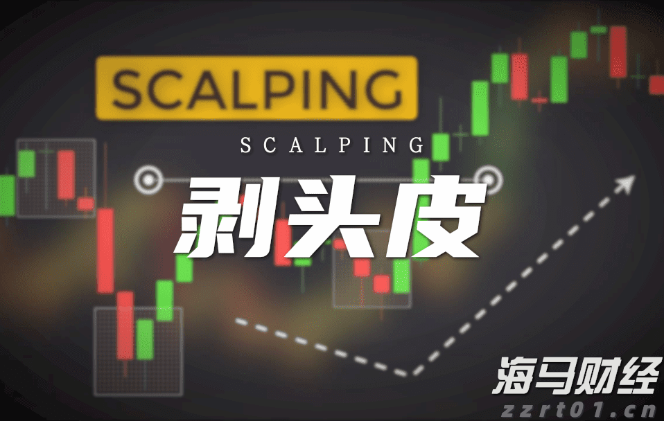 八百年山场韵 一脉铂悦情