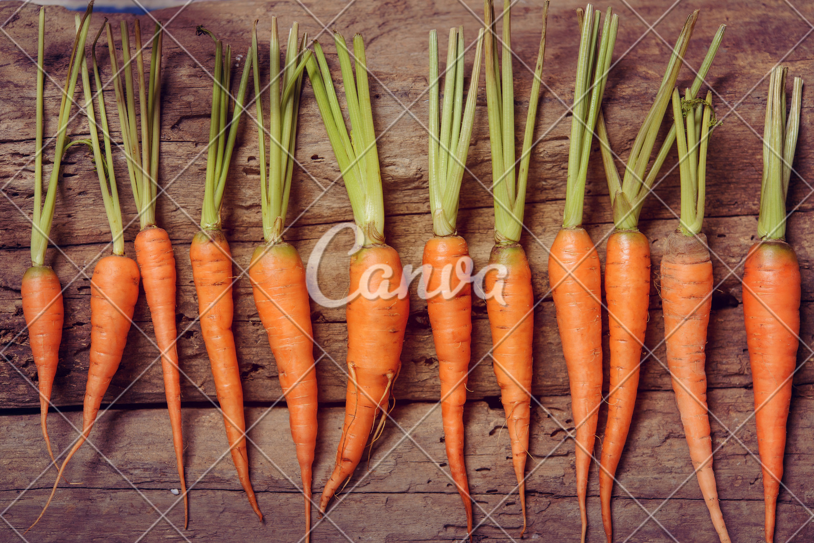 被蛇咬后怎么自救?湛江蛇伤救治专家划重点