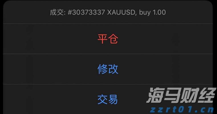 零跑B01上市:重新定义主流轿车