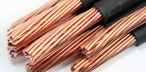 徐闻县南山镇组织水上救援培训