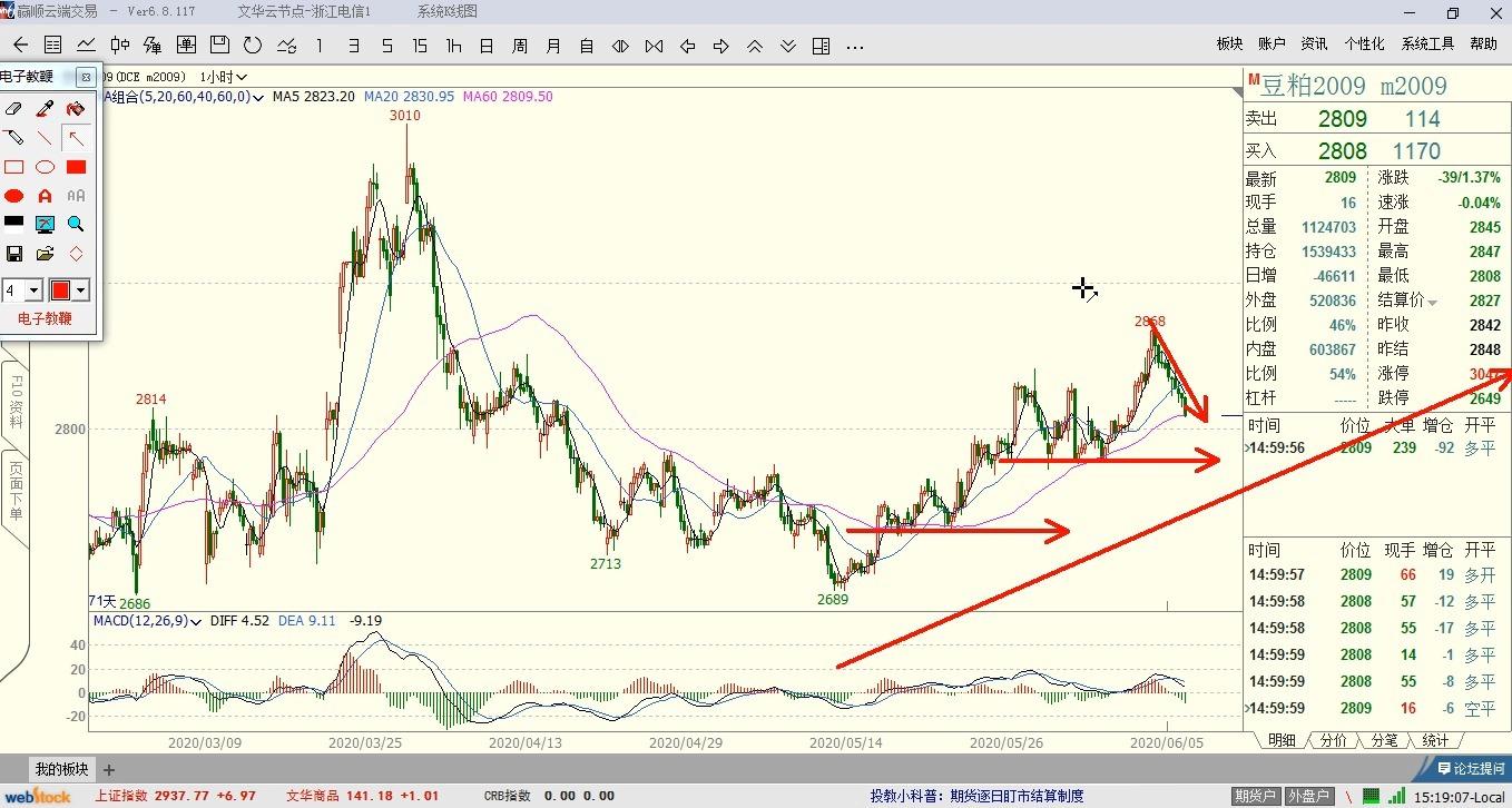 湛江台风蓝色预警生效！防风Ⅳ级应急响应启动