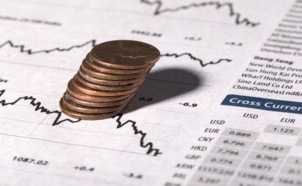 我市举办第五届“荷城金韵”文化活动