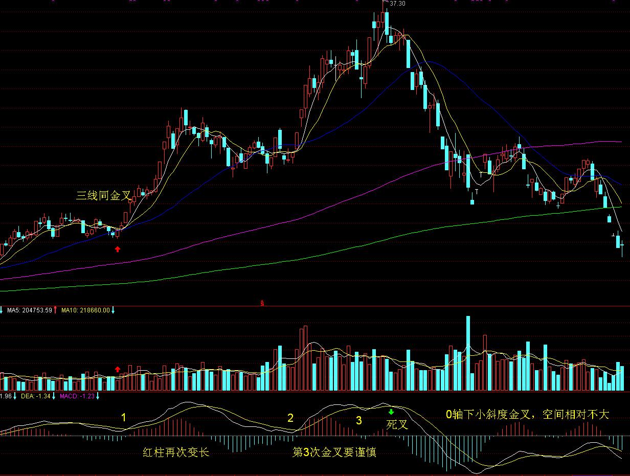 《珠海新闻》20250808