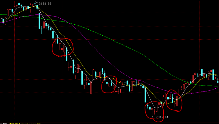 企业囤币潮助推加密货币市场,比特币与以太币接近历史高点