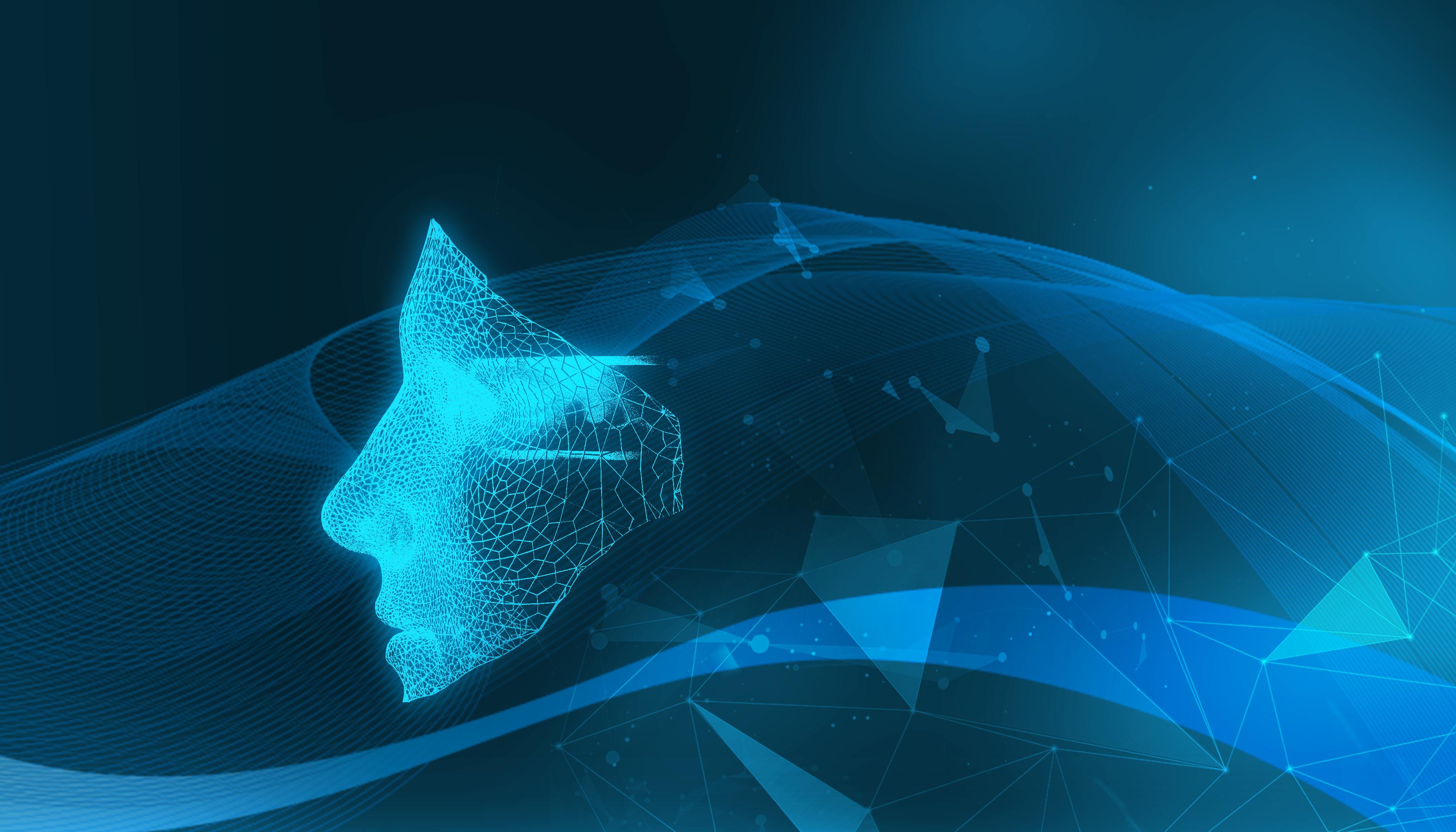 前5月规上电子信息制造业增加值增长11.1%