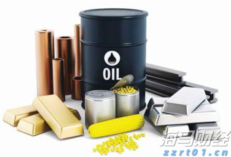 张家口市组织排球项目骨干裁判员参与联赛执裁