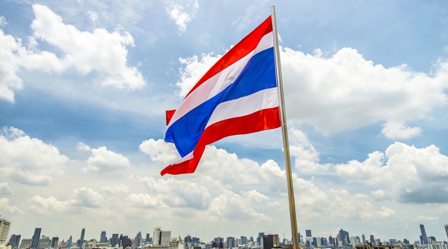 上海：他们，跟“大怪物”过年