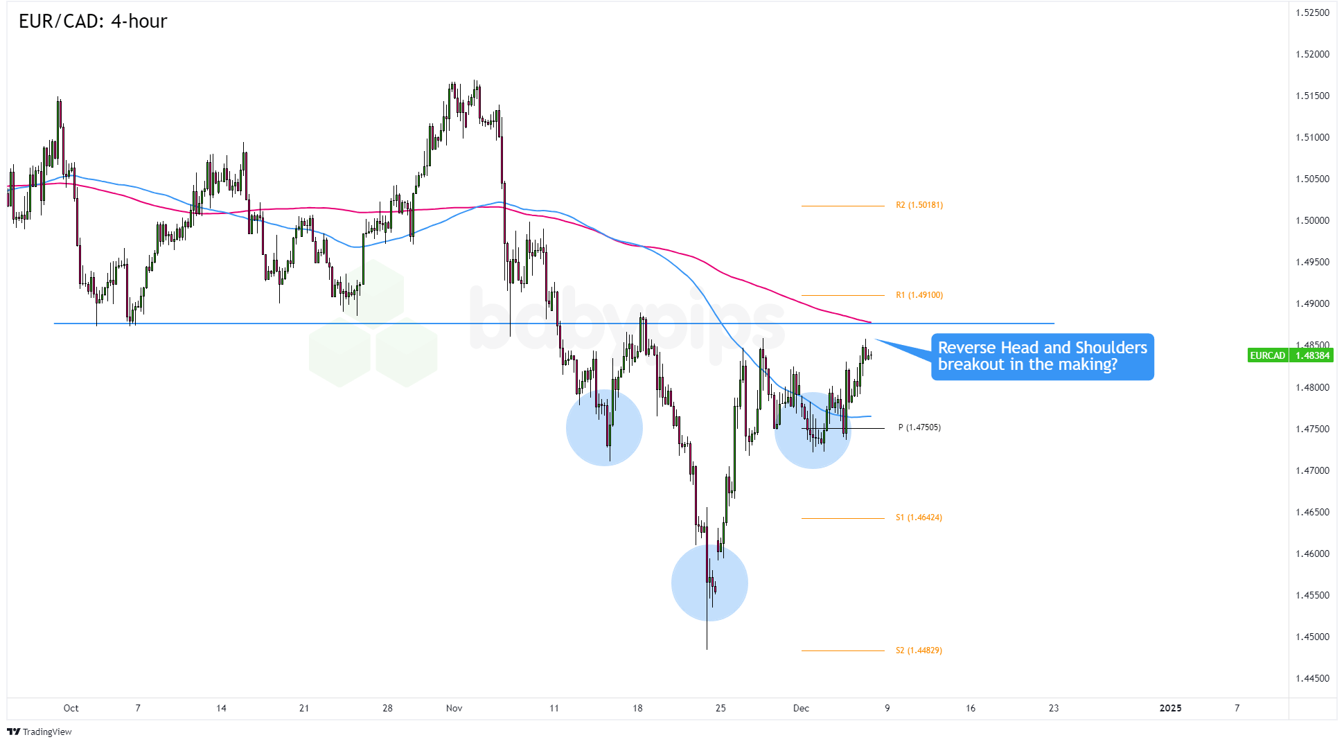 香港投资推广署举办研讨会 探讨如何利用香港国际金融中心优势 带动内地企业出海新机遇